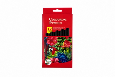 12PCS Watercolour Pencil Set
